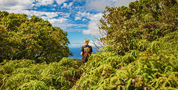 Maui conservation hiking