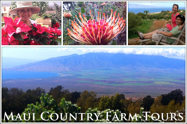 maui country farm tours