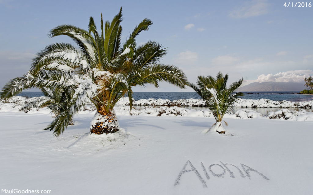 Freak Snow Storm Hits Hawaii! Maui Goodness