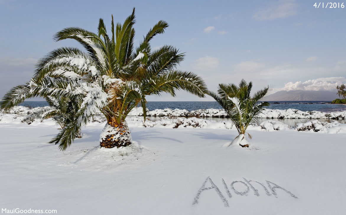 Maui Hawaii winter