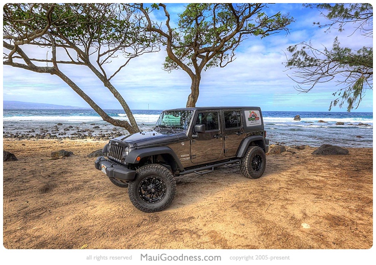 best jeep rentals maui