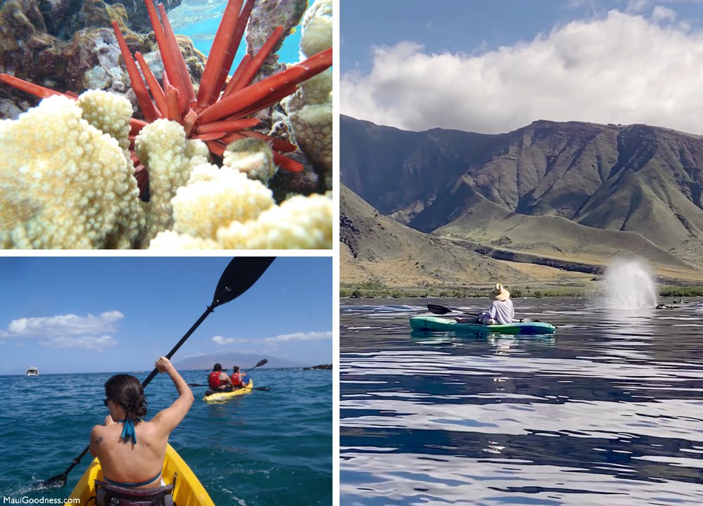 Maui kayaking