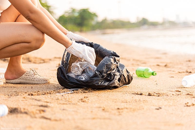 Maui Non Profit Beach Clean Up