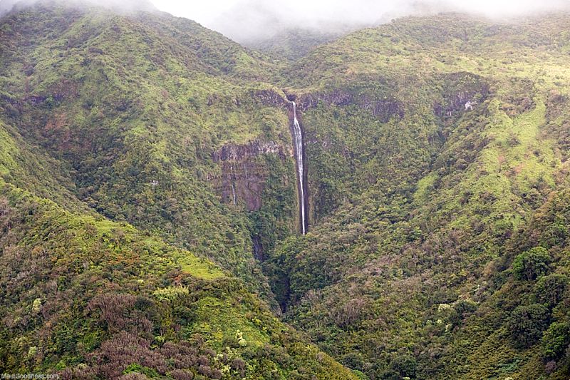 Maui Non Profit East Maui Watershed