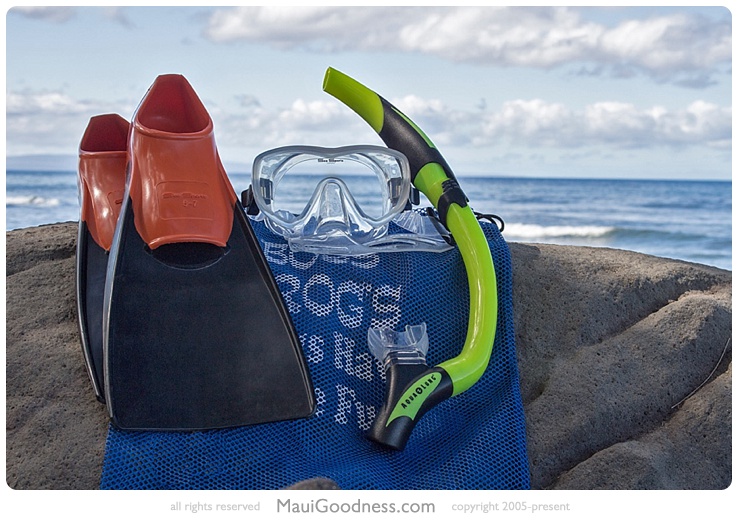 rent snorkel gear maui