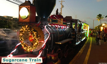 Maui sugarcane train