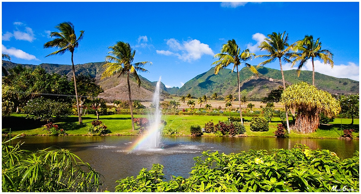 best maui activities