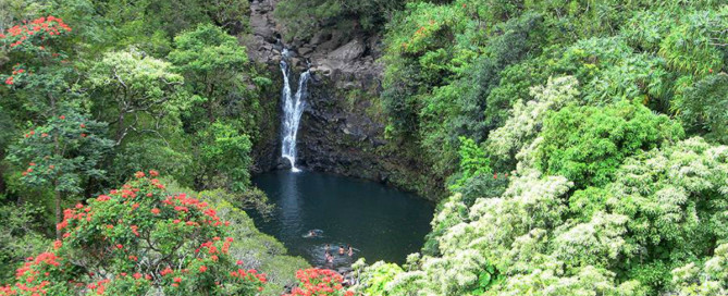 waterfall rappelling maui