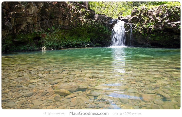 hike maui waterfall tour