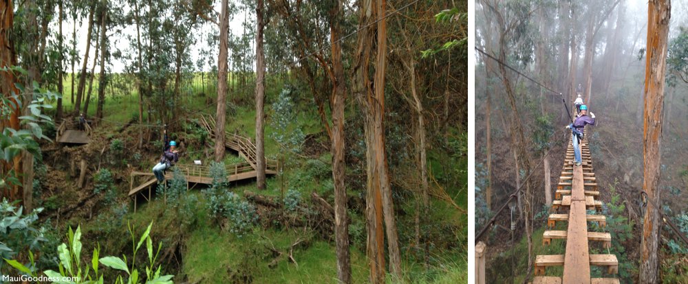 Maui zipline