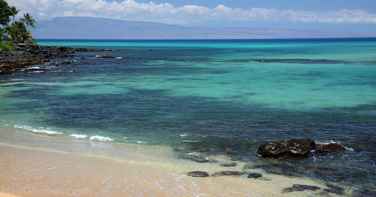 Maui Goodness logo