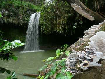 best things to do maui