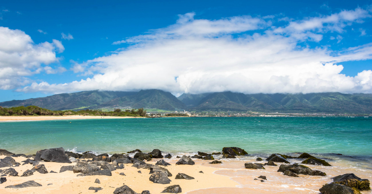 best maui wedding officiant