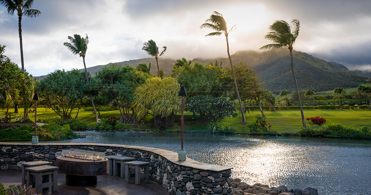 maui tropical plantation