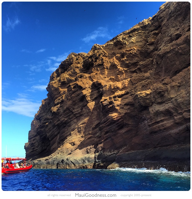 back wall molokini