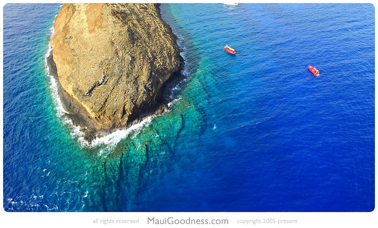 best snorkeling tours maui