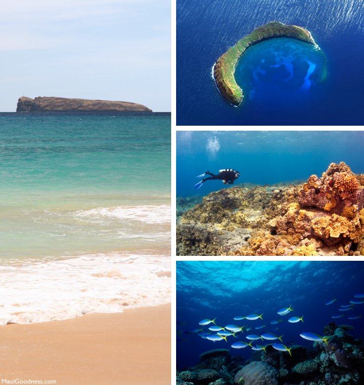 Molokini snorkeling