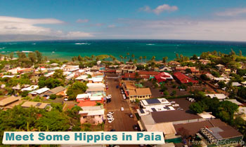 Meet Some Hippies in Paia