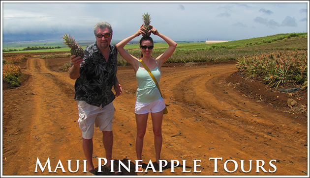 pineapple tourists