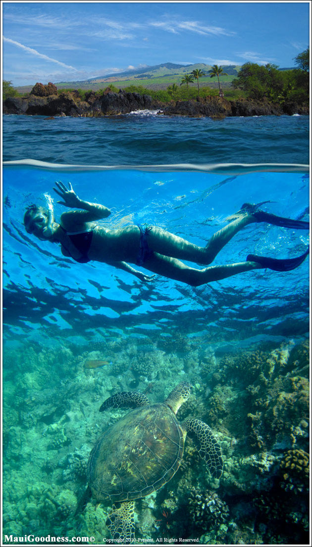 pregnant snorkeling