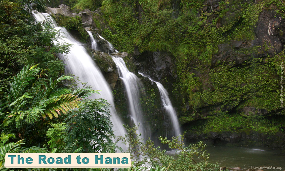The Road to Hana