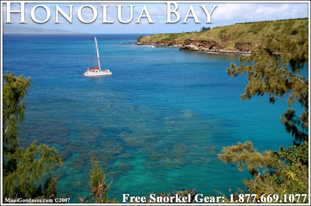 snorkeling Honolua Bay