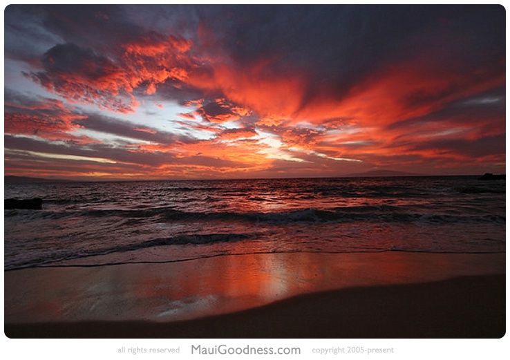 maui sunset bars