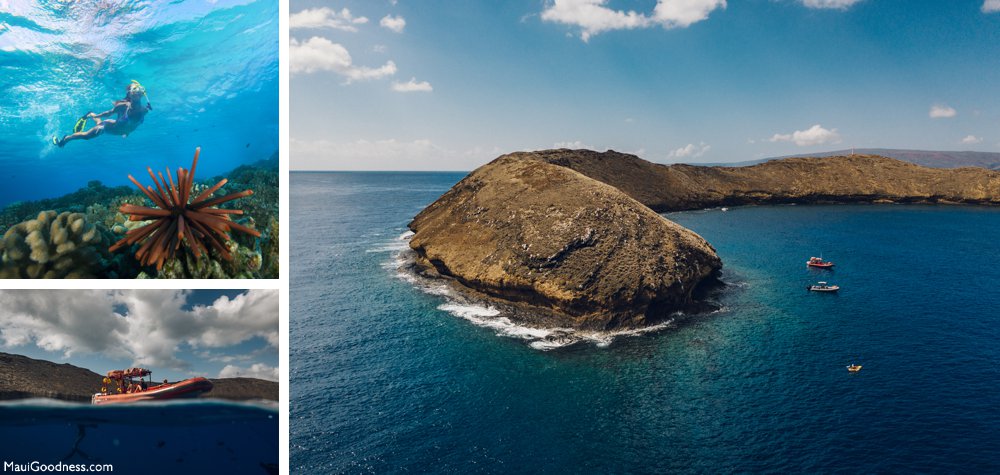 snorkeling at Molokini Maui