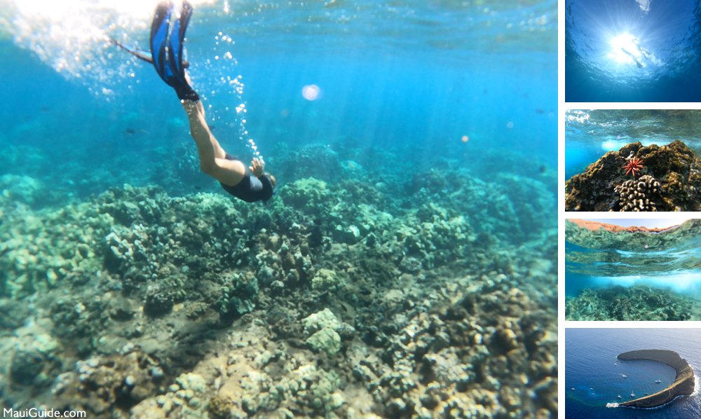 snorkeling with kids