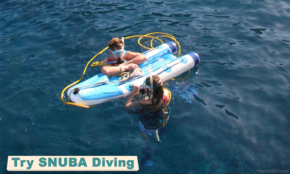 Try SNUBA Diving