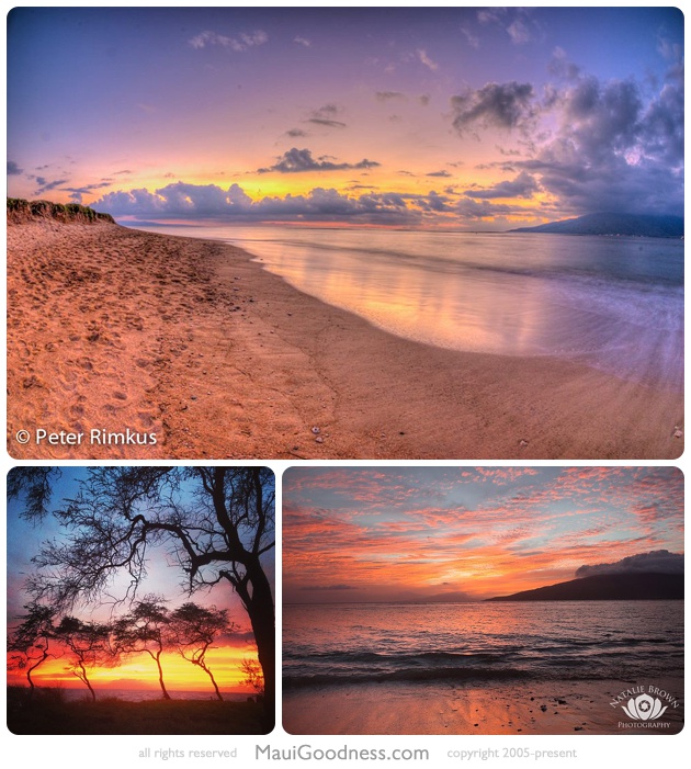 beach picnic maui