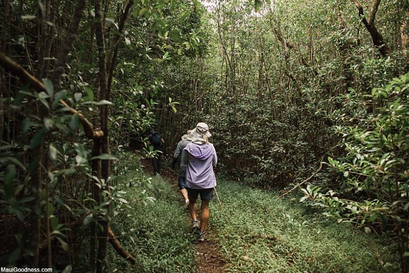 Support Local On Maui Helewai EcoTours