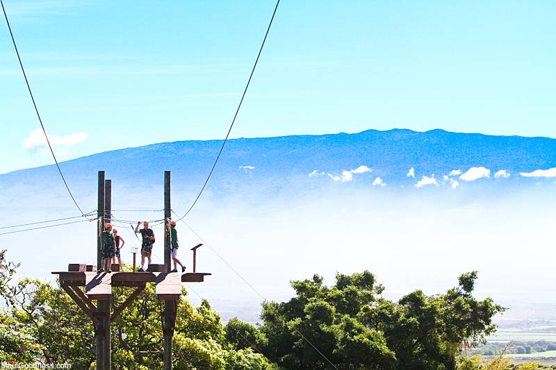 Support Local On Maui Zipline