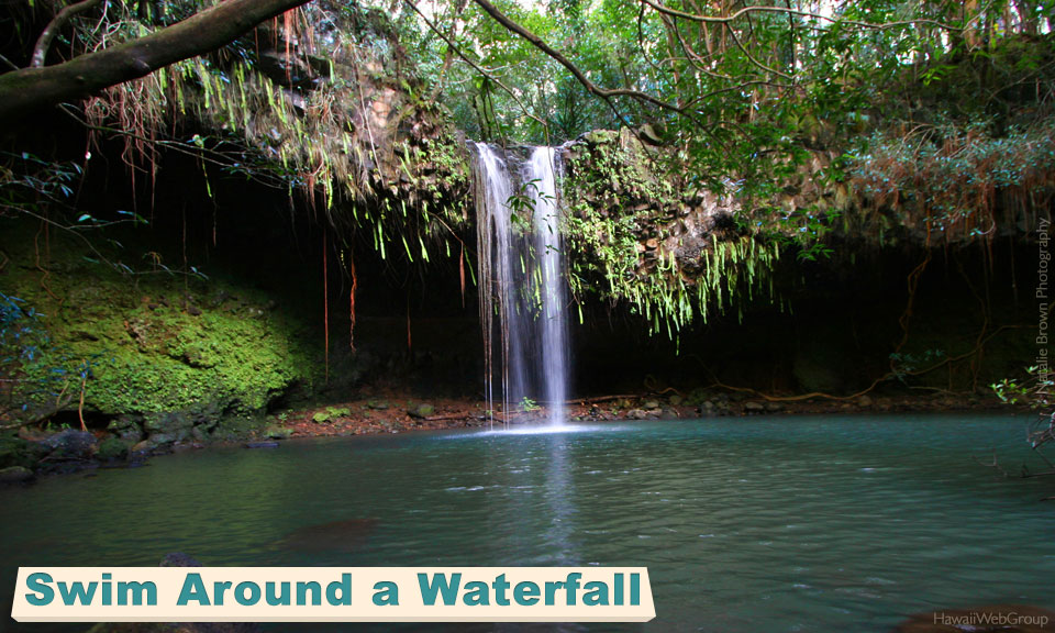 Swim Around a Waterfall