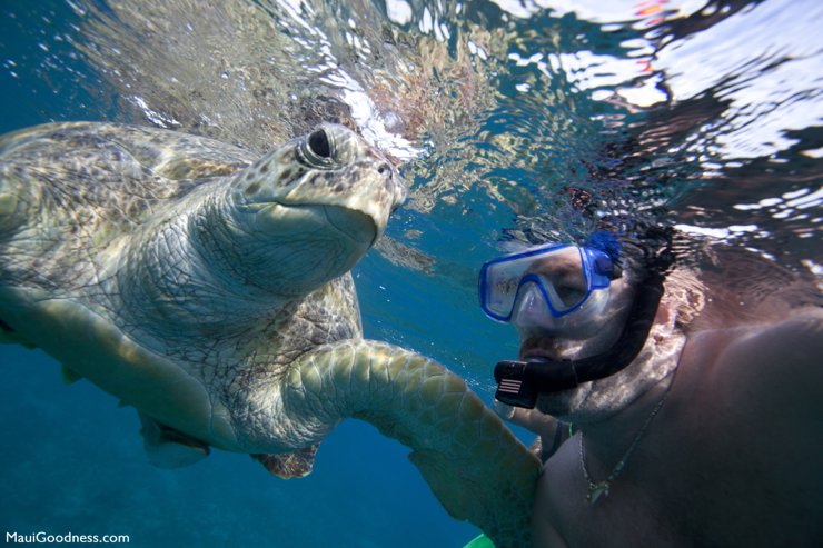 tourist next to turtle in Hawaii