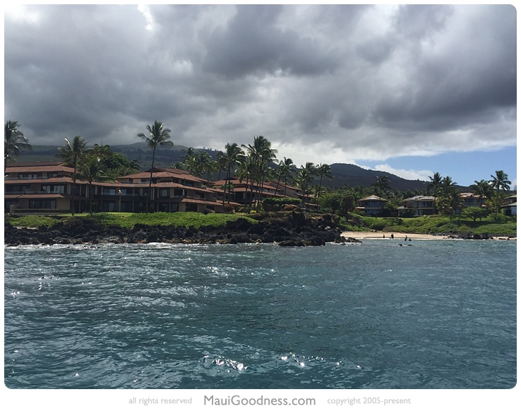 snorkeling turtle town maui