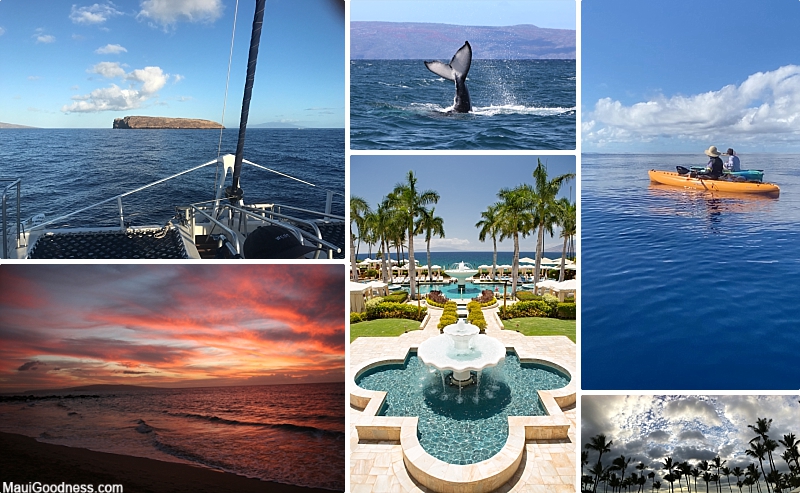 Wailea Activities Experience