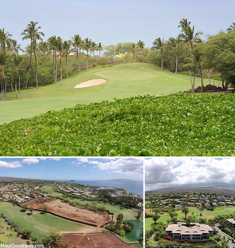 Wailea Activities Golf Courses