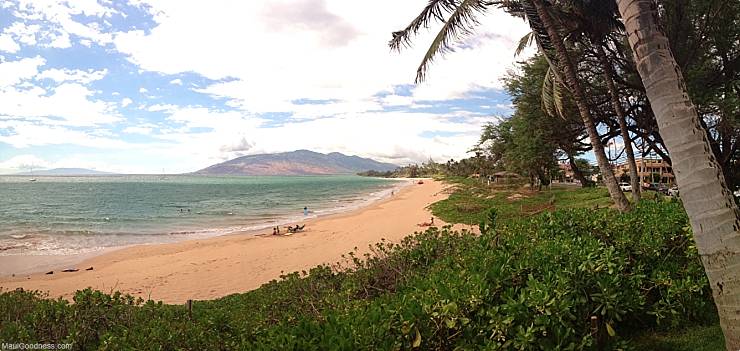 Wheelchair Activities On Maui Beach