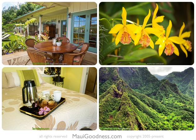 iao valley state park