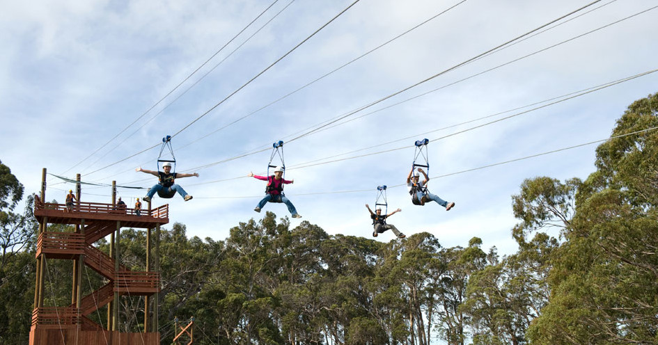 Maui Zipline